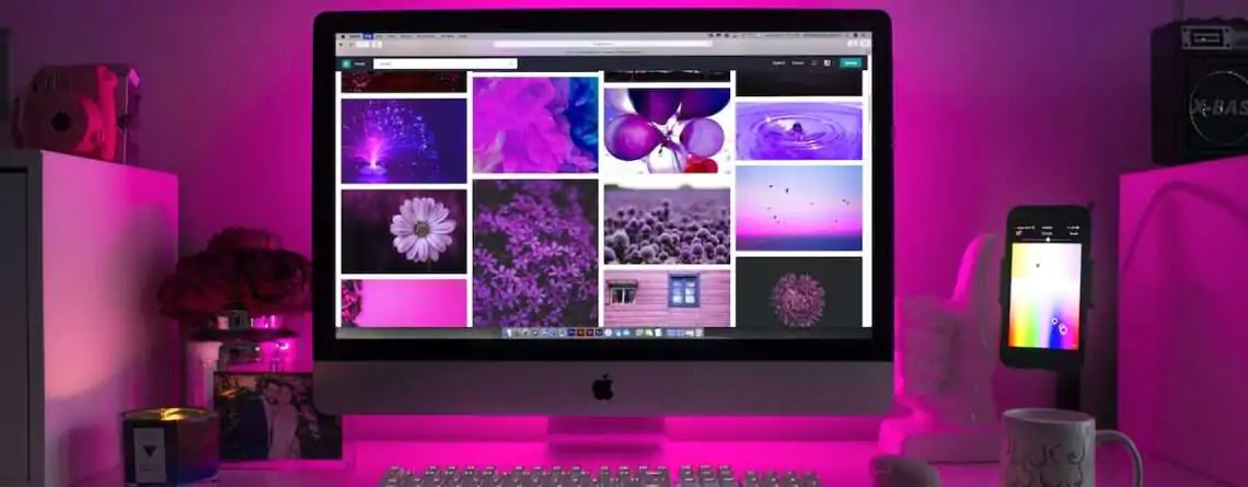 web design essentials